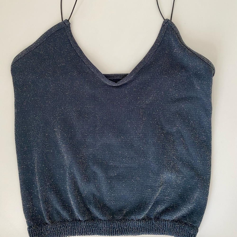 Free People Cropped Shimmer Top